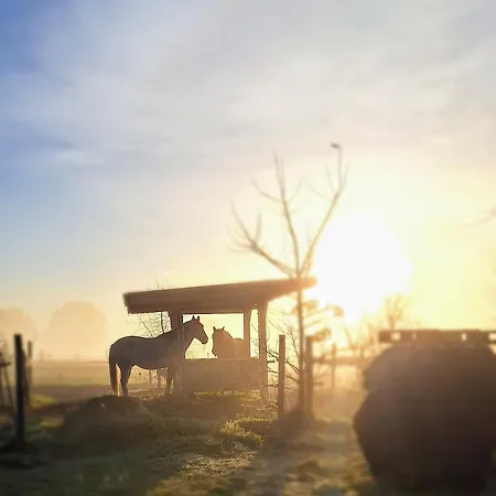 豪华帐篷 Liberty - Urlaub Im Zirkuswagen Karstädt