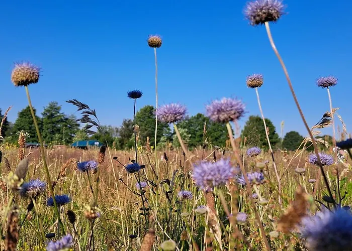 豪华帐篷 Liberty - Urlaub Im Zirkuswagen *