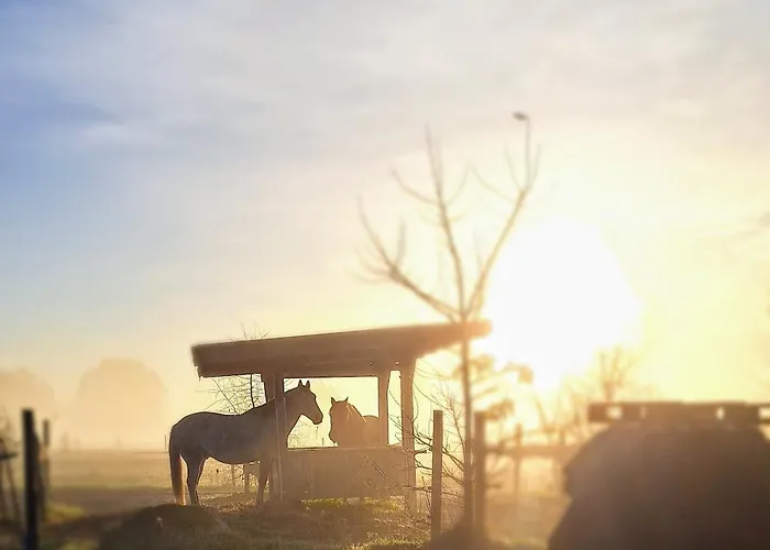 豪华帐篷 Liberty - Urlaub Im Zirkuswagen Karstädt